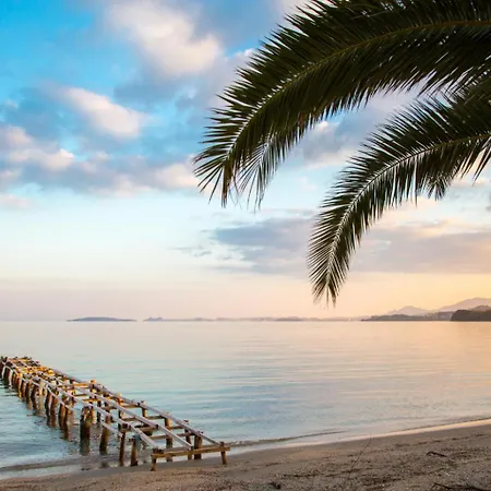 Vasillis * Nisaki (Corfu)