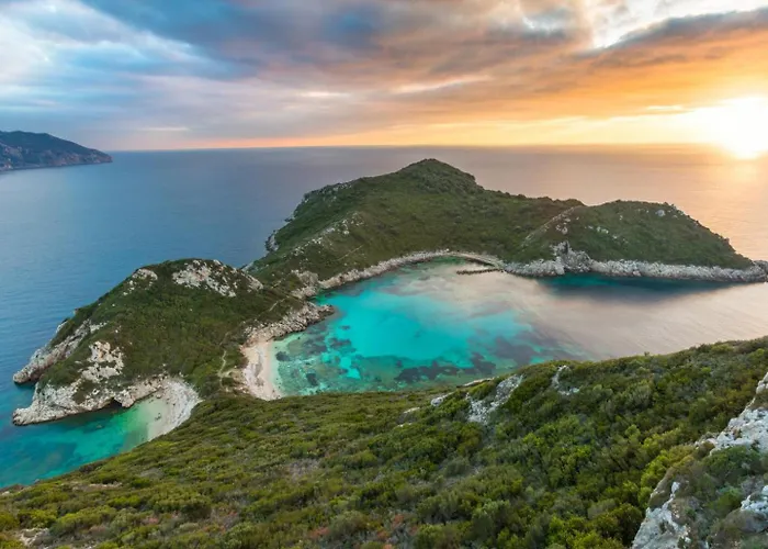 Vasillis *